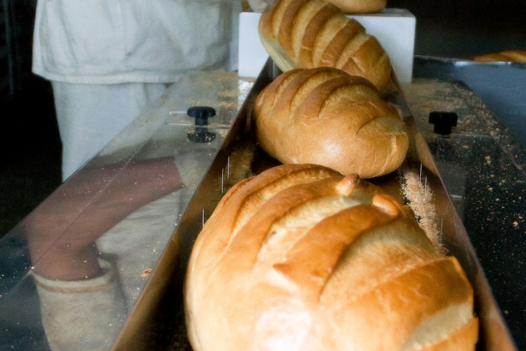 shutterstock_125278928_SL