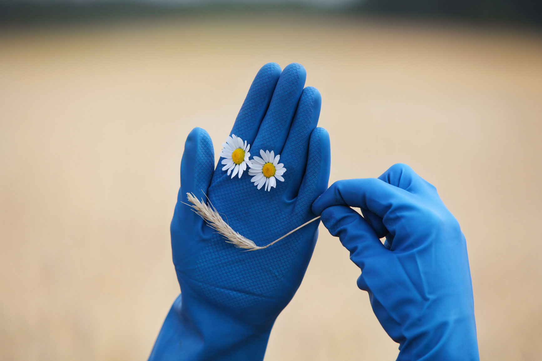 shutterstock_174820862_SL